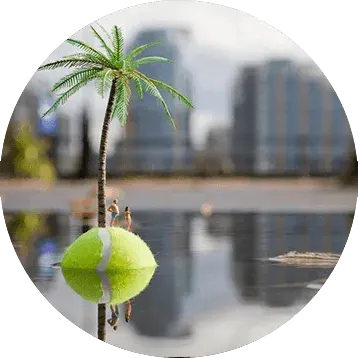 Minimiam. Un palmier s’élève d’une demi balle de tennis pour créer une île déserte surréaliste.